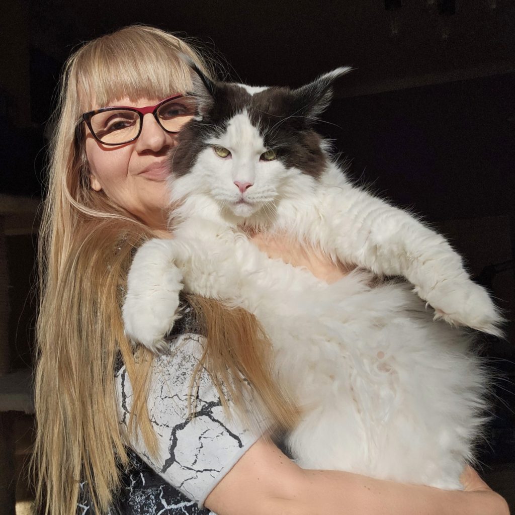 Agnieszka Domosławska z kotem maine coon